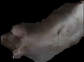 Crop