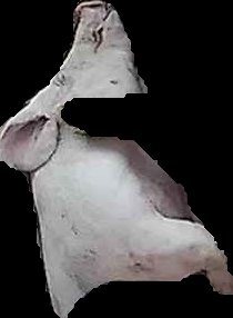 Crop
