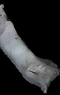 Crop