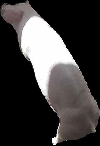 Crop