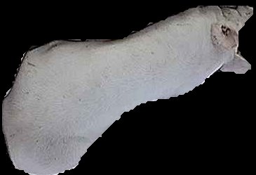Crop