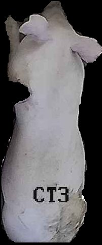 Crop
