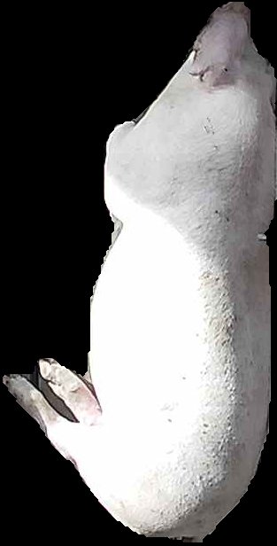 Crop