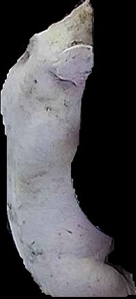 Crop