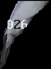 Crop