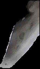 Crop