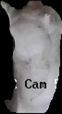 Crop