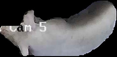 Crop