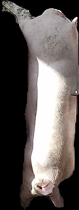 Crop