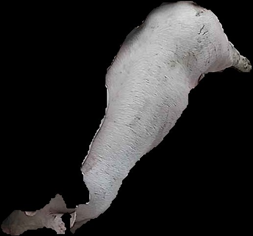 Crop
