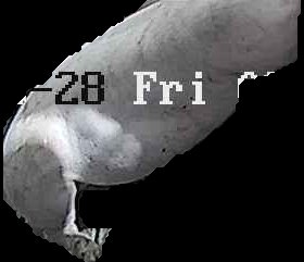 Crop