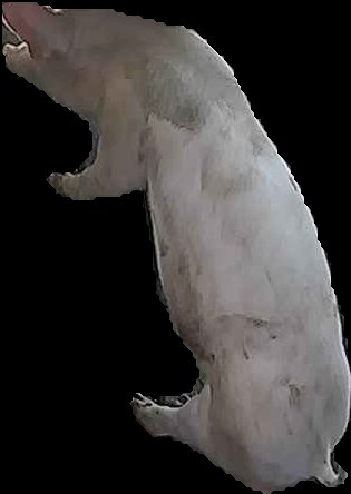 Crop