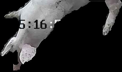 Crop