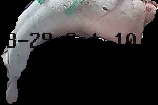 Crop
