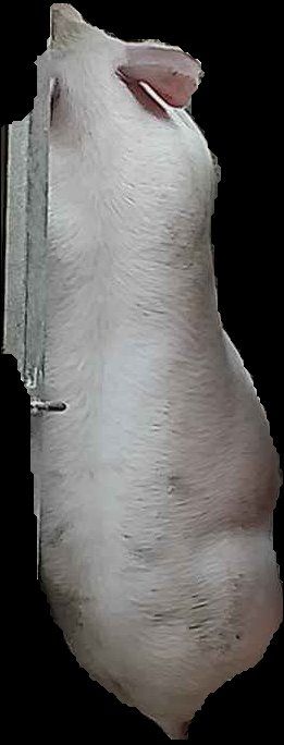 Crop