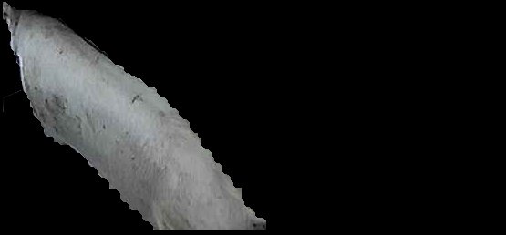 Crop