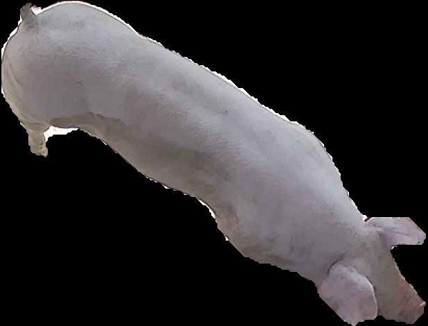 Crop
