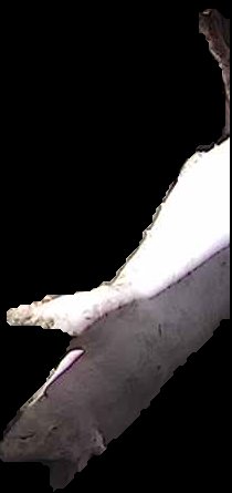 Crop