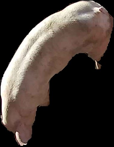 Crop