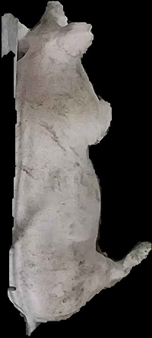 Crop