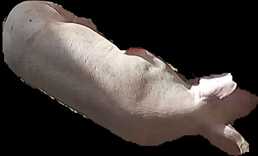 Crop