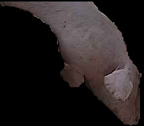Crop