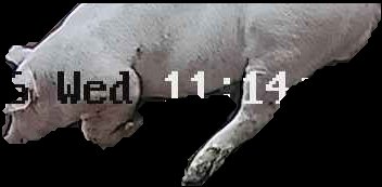 Crop