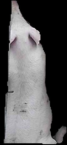 Crop