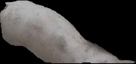 Crop
