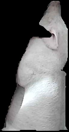 Crop