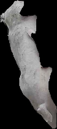 Crop