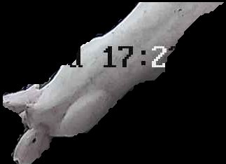 Crop