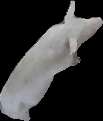 Crop
