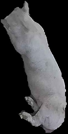 Crop