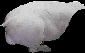 Crop