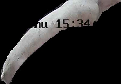 Crop