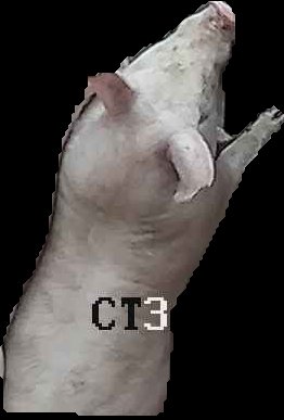 Crop