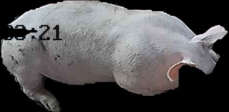 Crop