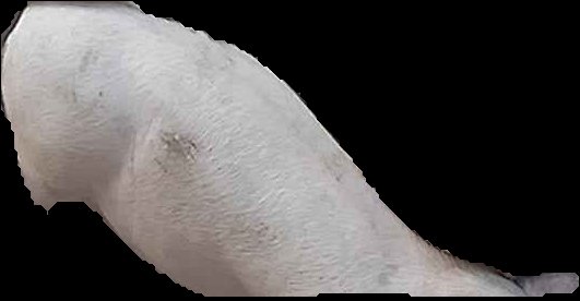 Crop