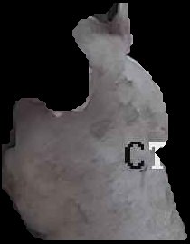 Crop