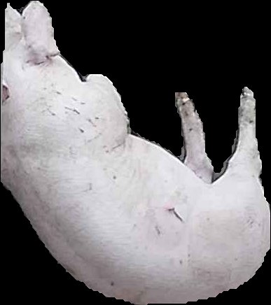 Crop