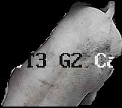 Crop