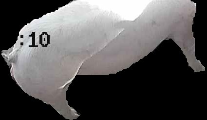 Crop