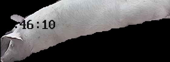 Crop