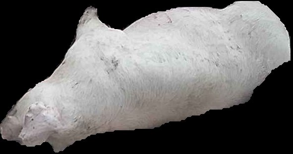Crop