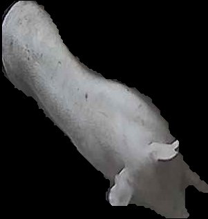 Crop