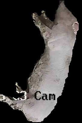 Crop
