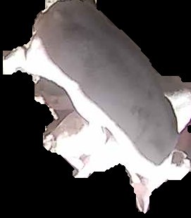 Crop