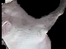Crop