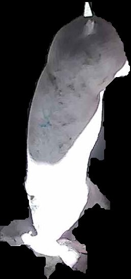 Crop